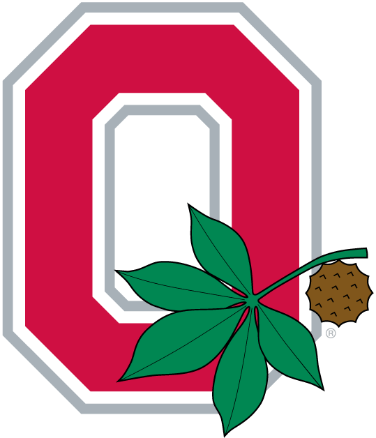 Ohio State Buckeyes 1968-Pres Alternate Logo t shirts iron on transfers v2...